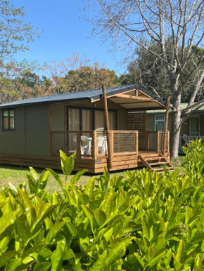 Ri-Veu corse dans camping marina di sorbo